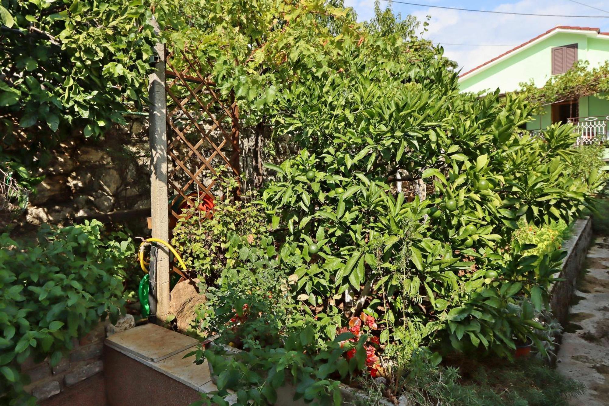 Apartments With A Parking Space Icici, Opatija - 7788 Ngoại thất bức ảnh